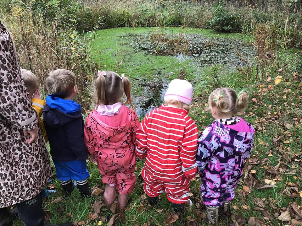 Chestnut house forest school