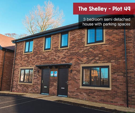 Shelley plot 49