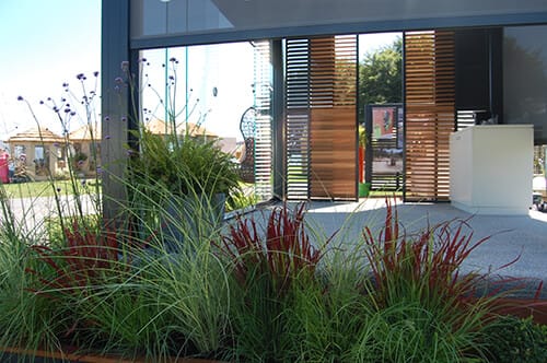 Outdoor Living - Plants