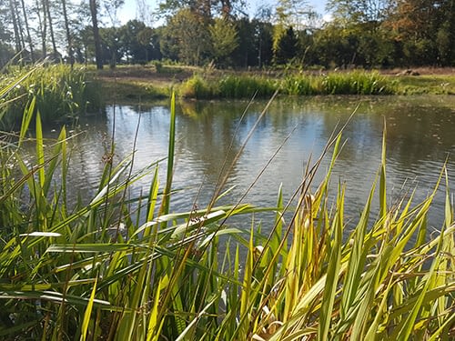 Large Country Estate - Extensive Pond Work