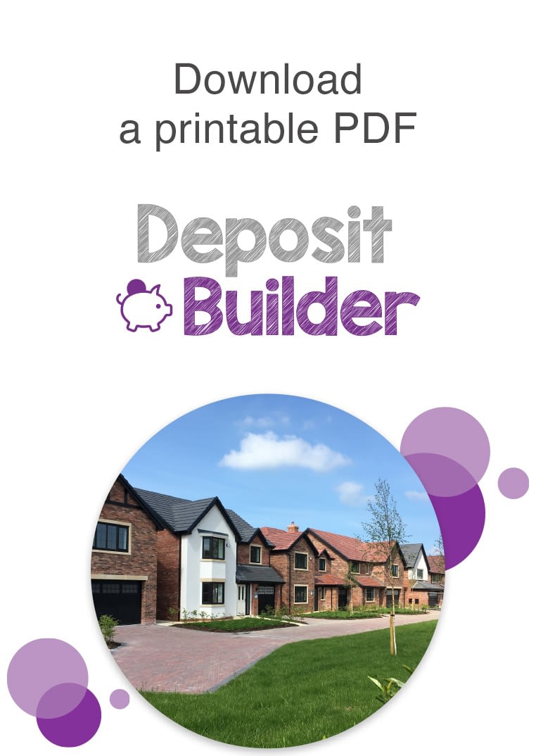 deposit builder pdf