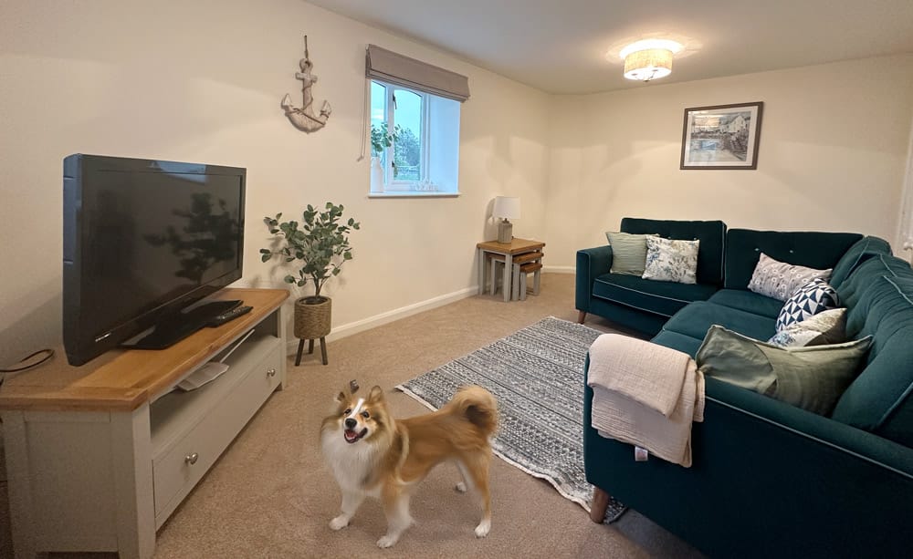 Seabreeze cottage with a dog