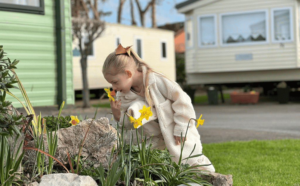 Girl smelling yellow Daffodils at Pentre Mawr Caravan Park
