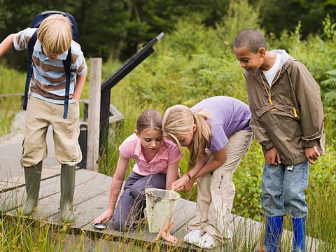 Children at nature reserve