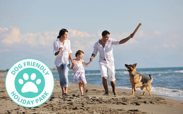 dog-friendly-family-holiday-park sunset cottage renovated