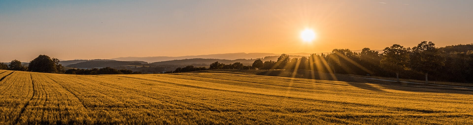 Agricultural property solicitors